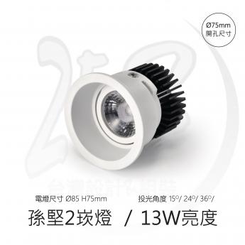 孫堅2 / 重點照明崁燈